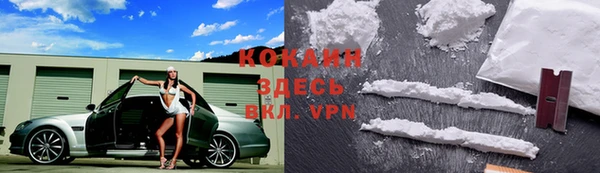 стаф Зеленокумск