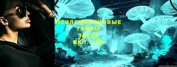 стаф Зеленокумск