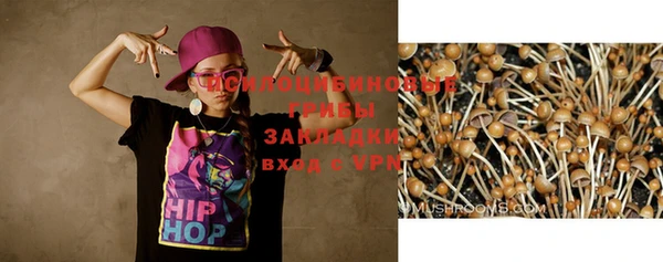 твердый Зеленодольск