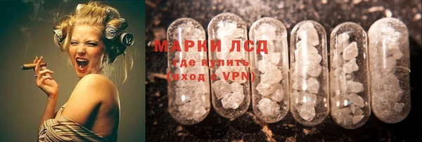 стаф Зеленокумск