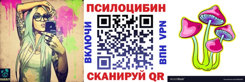 Купить  Заречный  Галлюциногенные грибы GOLDEN TEACHER 